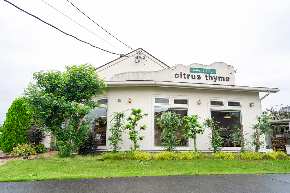 シトラスタイム